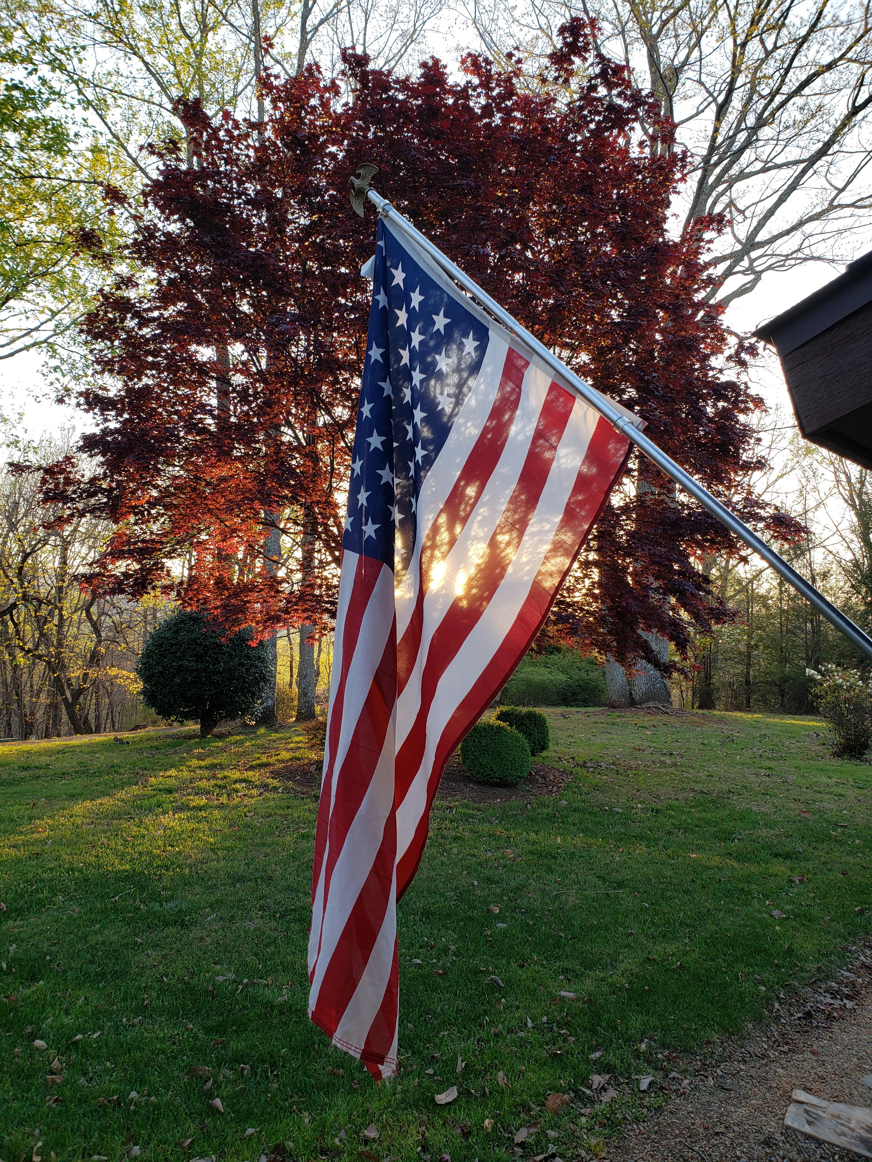 US flag with trees in setting sun. Lynn Turner