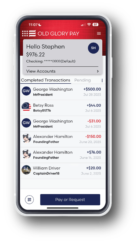 OGPay Mockup